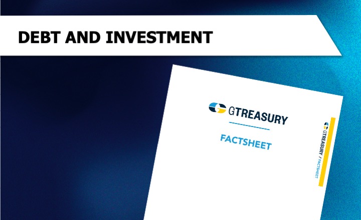 Debt and Investment Fact Sheet