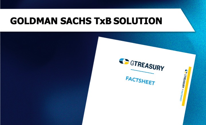 Goldman Sachs TxB Fact Sheet