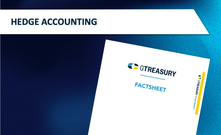 Hedge Accounting Fact Sheet