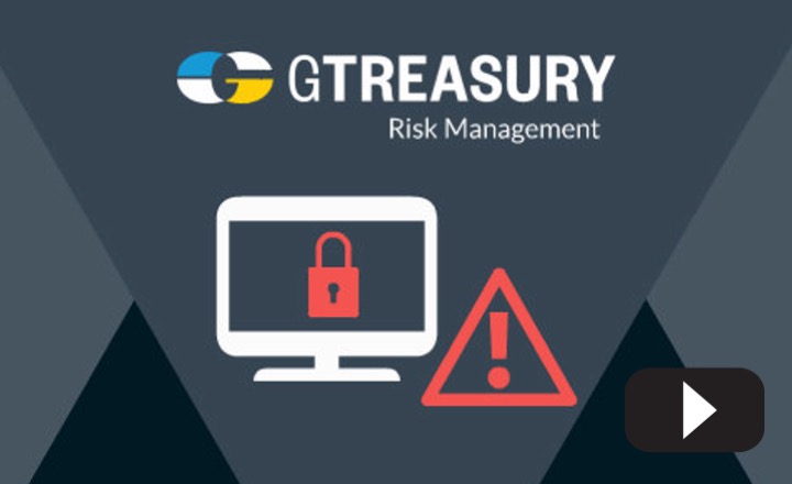 GTreasury Risk Management Overview