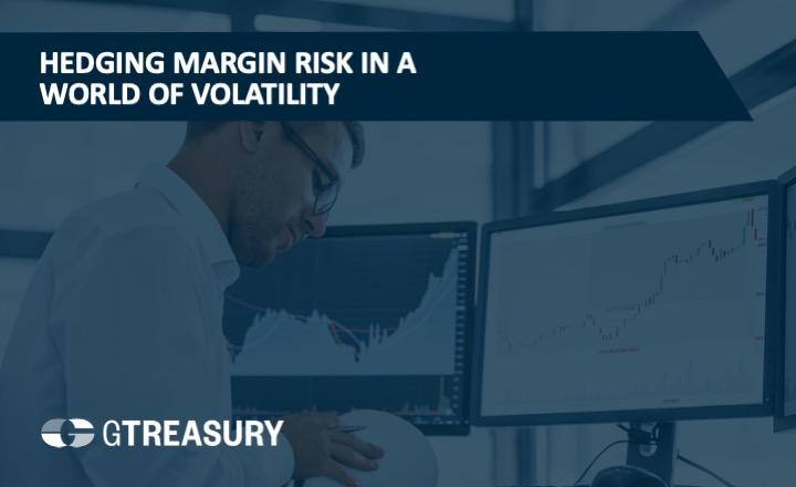 Hedging Margin Risk in a World of Volatility