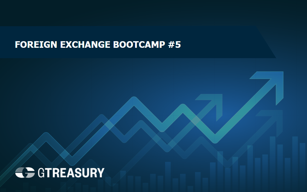 gtreaury hedge trackers foreign exchange bootcamp