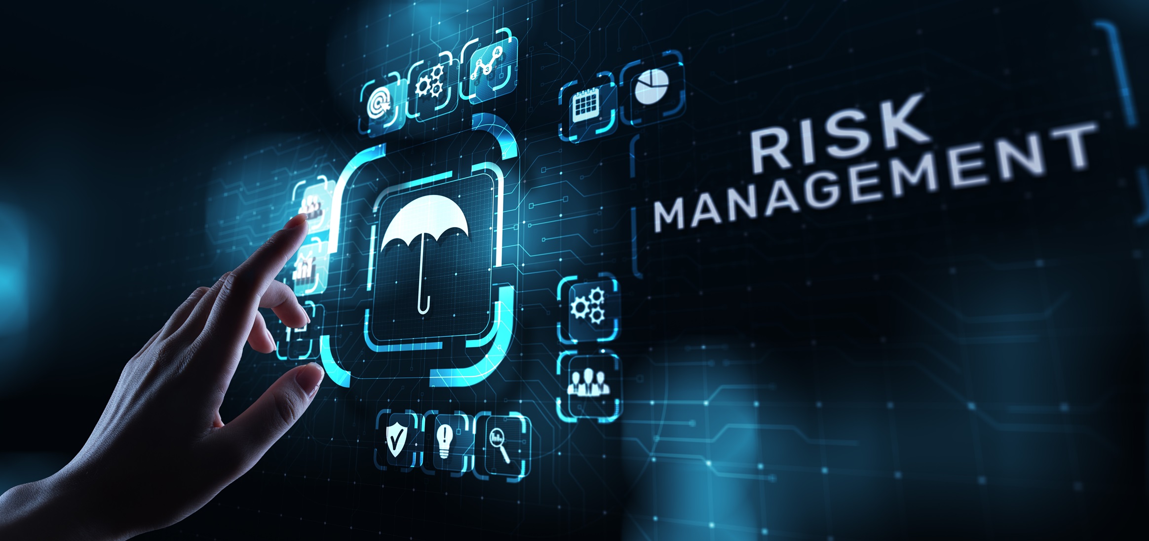 treasury risk management system